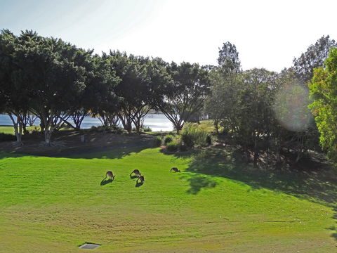 Waterfront Resort Villa With Buggy - Accommodation QLD 32