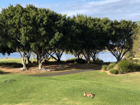 Waterfront Resort Villa With Buggy - Accommodation QLD 21