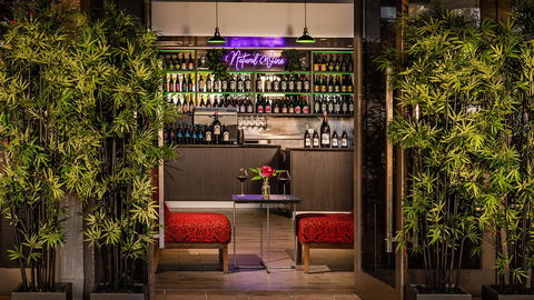 Cairns Harbourside Hotel - Accommodation QLD 25