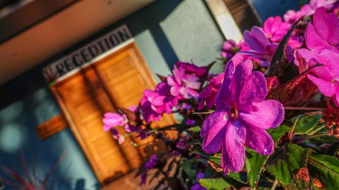 Blue Summit Hideaway - Accommodation QLD 33