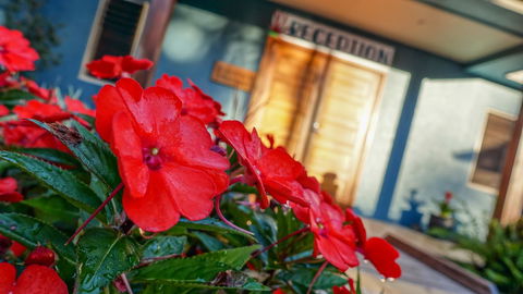 Blue Summit Hideaway - Accommodation QLD 1