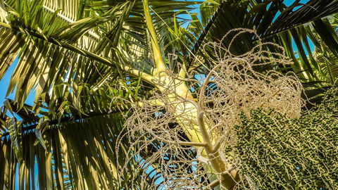 Blue Summit Hideaway - Accommodation QLD 20