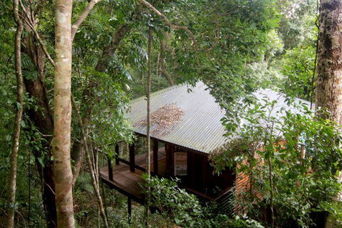 Cairns Rainforest Retreat - Accommodation QLD 0