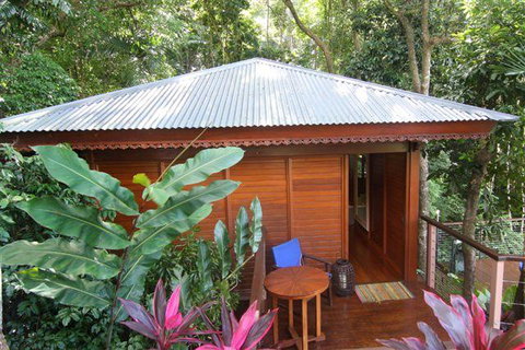 Cairns Rainforest Retreat - Accommodation QLD 5