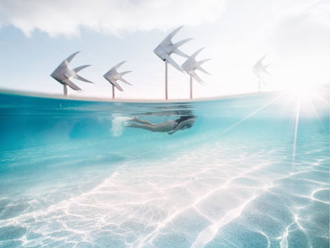 Coral Tree Inn - Accommodation QLD 39