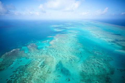 Coral Tree Inn - Accommodation QLD 37