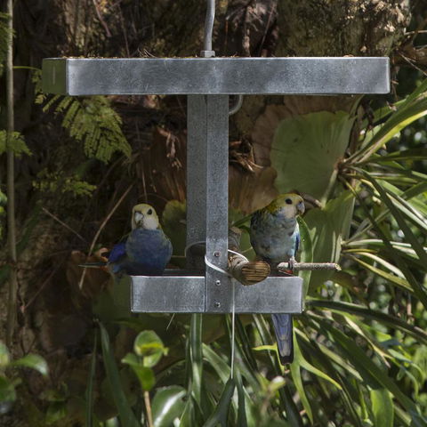 Bower 63 - Accommodation QLD 20