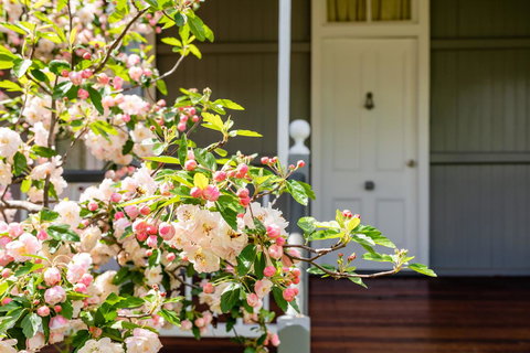 Apple Blossom Cottages - Accommodation QLD 2
