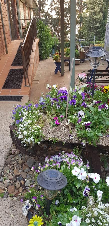 Manitzky Magic -B&B Home With Heart - Accommodation QLD 8