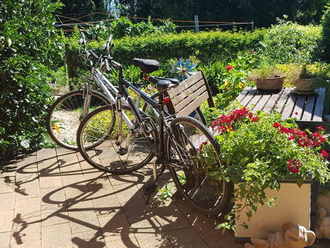 Manitzky Magic -B&B Home With Heart - Accommodation QLD 26