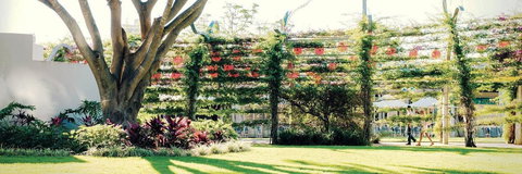 Vine Apartments South Brisbane - Accommodation QLD 19