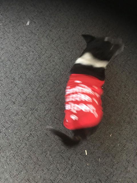 Nanango Star Motel - Accommodation QLD 1