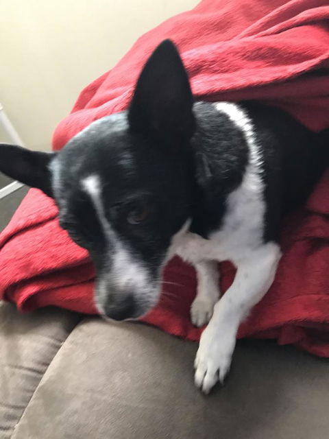 Nanango Star Motel - Accommodation QLD 15