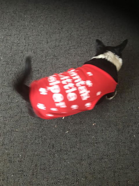 Nanango Star Motel - Accommodation QLD 2