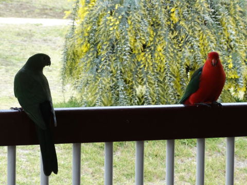 Loughmore House - Accommodation QLD 9