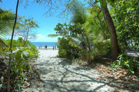 Whispering Palms - Accommodation QLD 1