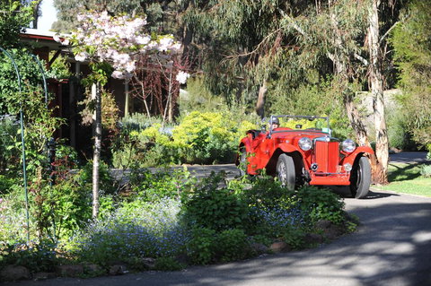 Wintarni Olives Cottage - Accommodation QLD 1