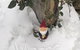 Winterbrook Chalet - thumb 3