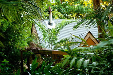 Witches Falls Cottages - Accommodation QLD 0
