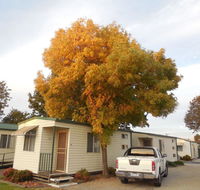 Wodonga Caravan  Cabin Park - Accommodation QLD