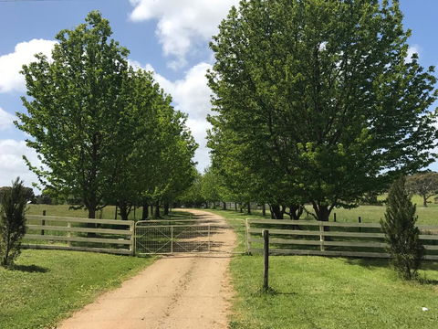 Wonderland Hobby Farm - Accommodation QLD 1