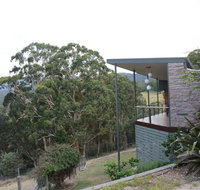 Woollybutt - Accommodation QLD