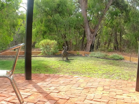 Yallingup Pet Friendly Bush Retreat - Accommodation QLD 3