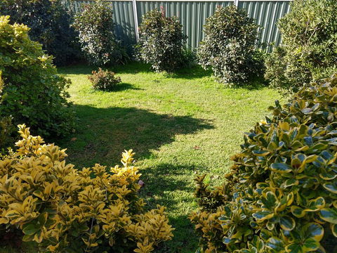 Young Goldrush Motel - Accommodation QLD 3