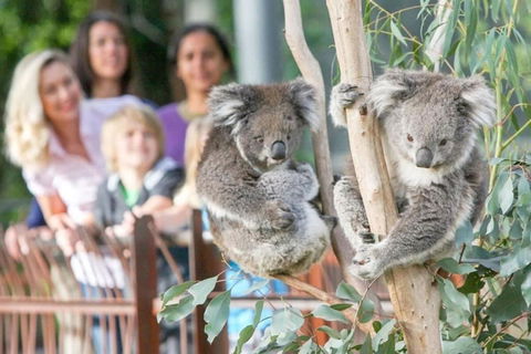A 3BR Apt Next To Melbourne Zoo FREE Parking - Accommodation QLD 2