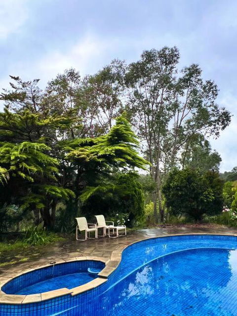 A Lovely Pool House In Forest - Accommodation QLD 2