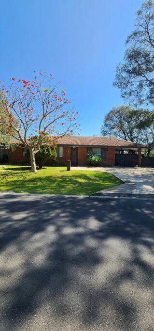 Abbey Beach Cottage - Accommodation QLD 1