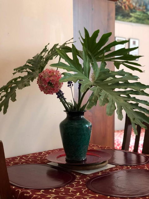 Albany Foreshore Guest House - Accommodation QLD 2