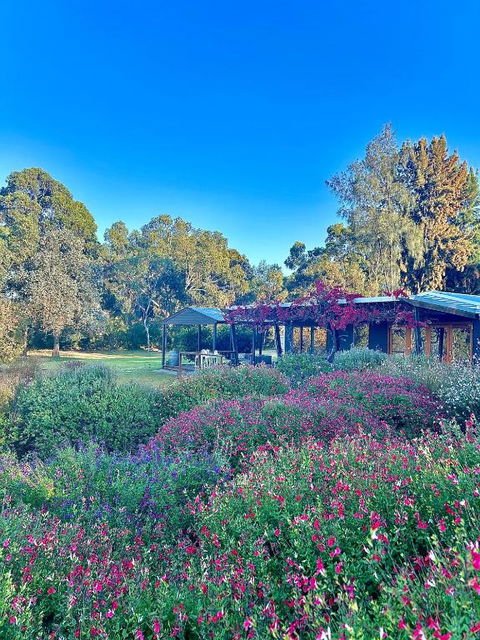 Alluca Villa McLaren Vale Vineyard Escape - Accommodation QLD 4
