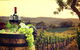 Alma Retreat, King Bed, Family, Pet Friendly - thumb 4