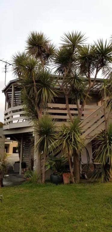 Apollo Stay - Accommodation QLD 2
