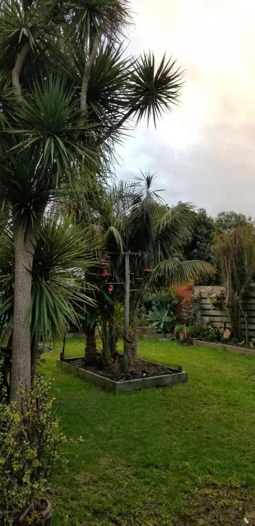 Apollo Stay - Accommodation QLD 1
