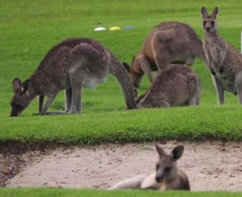 B & B On The Water - Accommodation QLD 3