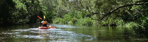 Absolute Waterfront - Accommodation QLD 33