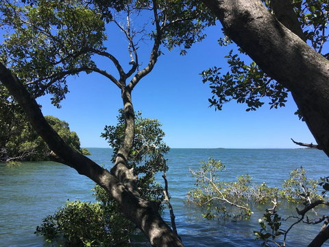 Absolute Waterfront - Accommodation QLD 16