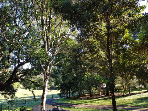 Bee-Haven Cottage - Accommodation QLD 7