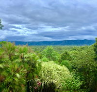 Daintree Manor BB - Accommodation QLD