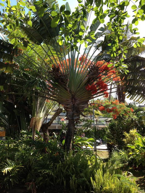 Port Douglas Apartments - Adults Only Oasis - Accommodation QLD 39