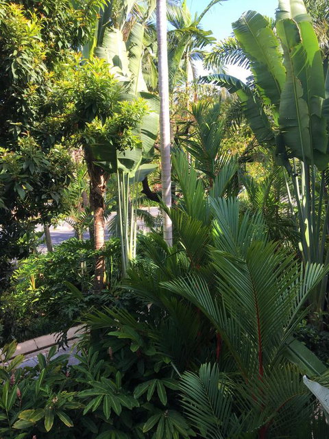 Port Douglas Apartments - Adults Only Oasis - Accommodation QLD 1