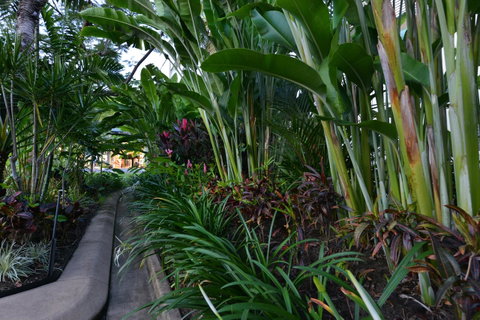 Port Douglas Apartments - Adults Only Oasis - Accommodation QLD 9