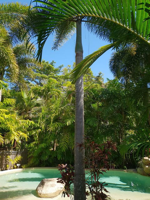 Cassawong Cottages - Accommodation QLD 16