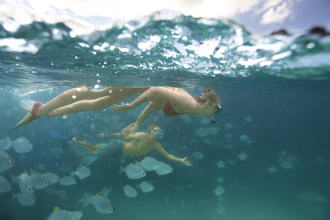 Tangalooma Island Resort - Accommodation QLD 4