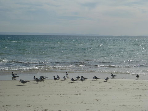 Beachfront Holiday Apartment To Rent For Short And Long Stays - Accommodation QLD 30