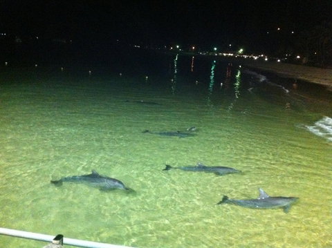 Beachfront Holiday Apartment To Rent For Short And Long Stays - Accommodation QLD 29