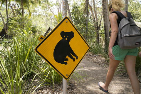 Roamer Magnetic Island Koala Park - Formerly Selina Magnetic Island - Accommodation QLD 27