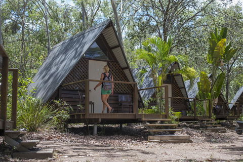 Roamer Magnetic Island Koala Park - Formerly Selina Magnetic Island - Accommodation QLD 5